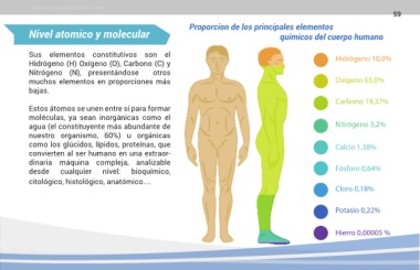Cuales son los 60 elementos quimicos del cuerpo humano